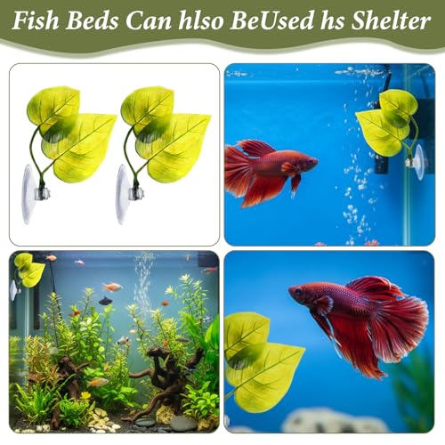 6Pcs Betta Fish Hammock, Beta Hammock Realistic Leaf Design, Fish Hammocks with Strong Suction Cup for Aquarium Decoration and Fishes Resting Spot Placement