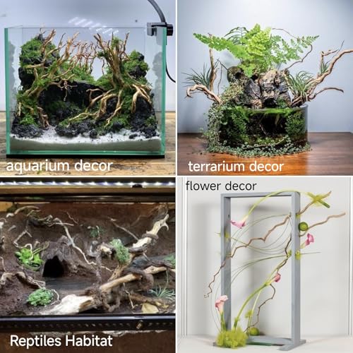 Azil Natural Aquarium Driftwood Root – Driftwood for Aquarium Decor, 170g~0.38lb (14″–16″), Fish Tanks, Terrariums, Aquascaping & Planted Tanks - size: Root mix 14 - 16 inch