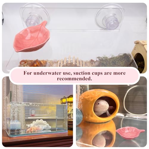 Axolotl Hammock Ledge for Aquarium with Feeding Dish Ceramic Tray Suction Cup and Feeding Tweezer Axolotl & Bearded Dragon Aquarium Accessories Kit (7.8 x 3.9in)