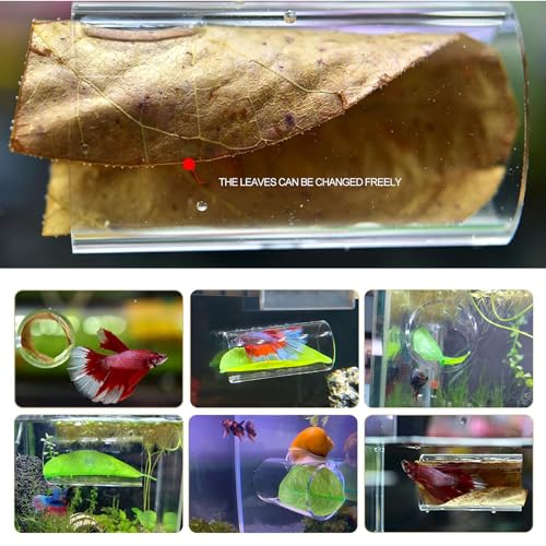 CousDUoBe 1 Pack Betta Fish Acrylic Tube Tunnel,Betta Fish Leaf Pad Simulating The Natural Habitat for Betta Spawning Grounds Breeding Resting Bed，Betta Toys Shelter Hideaway（Long Style） - style: 1 Pack（Long style）