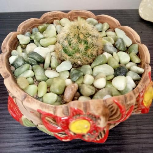 10LB Jade Pebbles for Landscaping, 0.7-1.2 Inch Natural Decorative Stones, Polished River Rocks for Succulent,Planters, Landscaping, Vase, Flowerpot, Indoor Plants and Outdoor Garden Decoration - size: 10LB, style: Jade