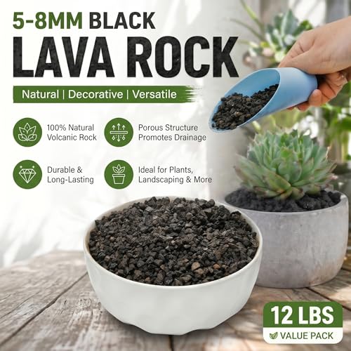 TOPZEA 12 LB Black Lava Rocks for Plant, Potting Soil Additive Decorative Landscaping Grits, Horticultural Gravel Crushed Volcanic Rock for Bonsai Succulent Cactus, Top Dressing, Fire Pit, Aquarium