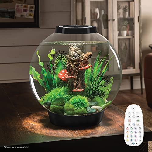 biOrb Classic 30 Acrylic 8-Gallon Aquarium with Multi-Color Remote-Controlled LED Lights Modern Tank for Tabletop Display, Black - color: Black, size: 8 Gallon, style: MCR Lighting