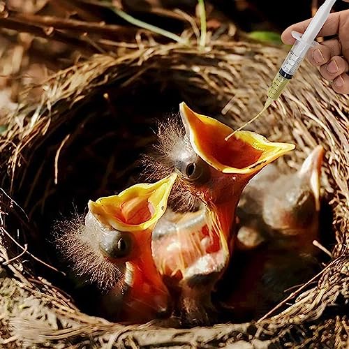 Baby Bird Feeding Syringe Set, Pet Parrot Milk Feeding Syringe with Tubes, Parrot Feeding Tubes Measuring Tools for Feeding Pets Scientific Industrial Labs… (10ml+10ml+20ml+60ml) - color: 10ml+10ml+20ml+60ml