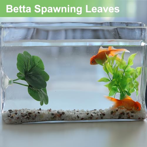 Betta Fish Leaf, Natural Habitat Simulation for Betta Spawnings Grounds, Betta Spawnings Leaves, Resting Bed, Double Leaves, Green