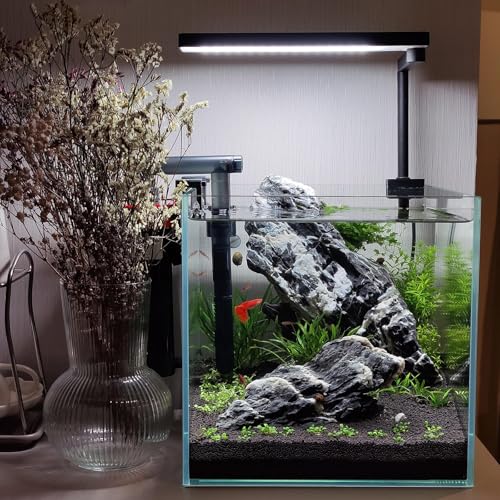 HAELFMRI Seiryu Rocks 11lb Dragon Stone for Aquarium, Natural Rocks for Fish Tank Landscaping, Decorative Hardscape Stones for Freshwater Prawn, Reptile Terrariums and Amphibian Enclosures (3-7 Inch)