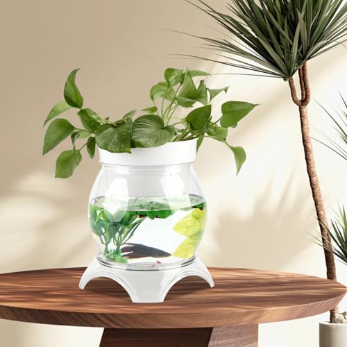 3 Gallon PET Aquaponic Betta Fish Tank Aquaponic with Base and Top, Large Bowl Shatterproof Aquarium Fish Tank with Clear Clarity for Terrarium, Flower Vase Centerpiece Present for Fish Lovers - size: 3 Gallon