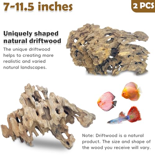 PINVNBY Natural Driftwood for Aquarium Large Reptile Terrarium Decor Decorations Assorted Branches Dearded Dragon Tank Accessories (7-11.5 inches/2 Pack) - size: L:Honeycomb wood (7 - 11.5 inches/2 Pack)