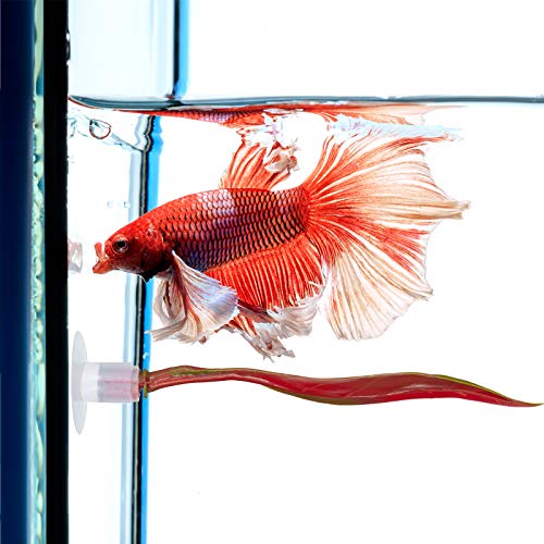 WILLBOND 2 Pcs Red Silicone Betta Fish Bed Leaf Hammock Betta Fish Tank Accessories Decorations for Aquarium Ornaments, Practical Resting Spot, Comfortable and Safe - color: Red