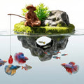 Floating Aquarium Decor with Interactive Fish Feeding Hook, Fish Tank Decorations for Betta, Guppy & Shrimp, Safe ABS Material Floating Fish Tank Decor, 3D Old Man