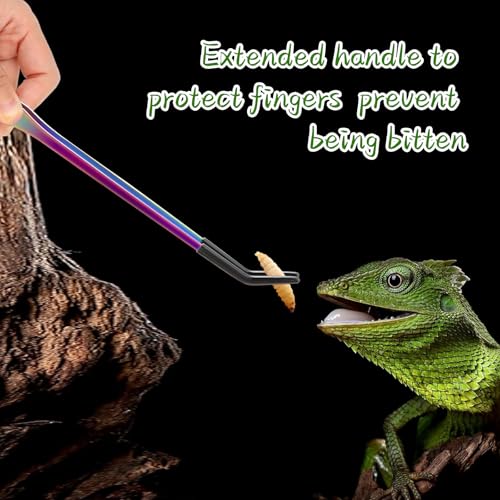 OLIISS Stainless Steel Reptile Feeding Tongs with Rubber Tip - 10.6" Straight & Curved Tweezers for Aquariums & Crafts - Feeder Tools for Bearded Dragons & Lizards - Terrarium Tank Supplies - 2 Pack - size: 10.6 Inch