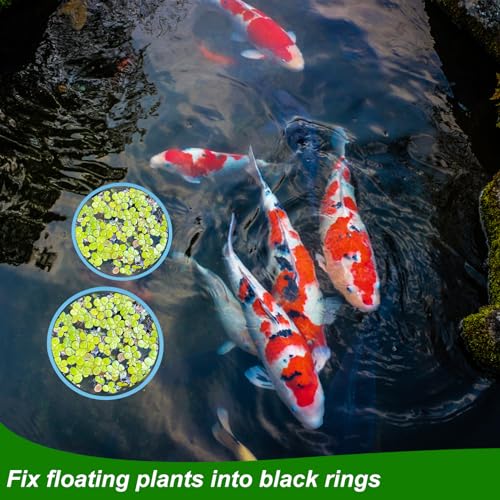 PEUTIER 5pcs Aquarium Floating Plant Rings, Foam Round Fish Feeding Rings 5 Size Floating Plant Corral Fish Tank Food Ring Keep Floating Plants in Place (Blue)