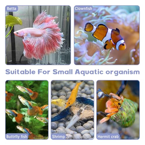 Hamiledyi Natural Driftwood for Aquarium Decor 12 PCS Fish Tank Wood with Small Holey Aquarium Wood Aquascaping for Shrimp Betta Hermit Crab and Butterfly Fish - size: XS:3-6 inches-12pcs