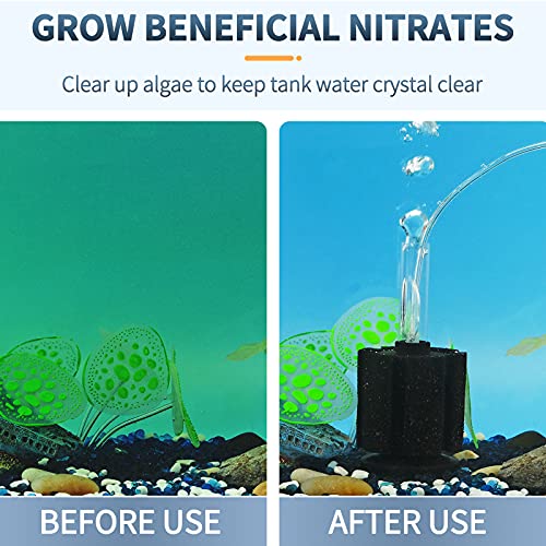 Pawfly Aquarium Air Pump with Nano Bio Sponge Filter Kit Air Control Valve Airline Tubing and Check Valve Accessories for 5-10 Gallon Small Fish Tank