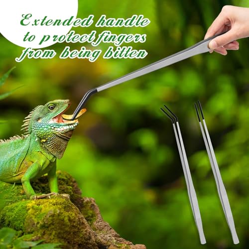Lasnten 2 Pcs Extra Long Stainless Steel Reptile Feeding Tongs with Rubber Tip 18.5 Inch, 18.9 Inch Bearded Dragon Aquarium Straight and Curved Long Tweezer Terrarium Feeder Tool for Tank(Silver) - color: Silver, size: 18.5 Inch, 18.9 Inch