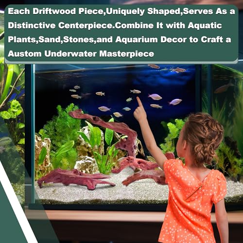 Natural Wood Driftwood for Aquarium Fish Tank Decor,Assorted Driftwood Trunk Branch for Reptile Tank Decor (MOP-ZYM Driftwood (8 to12 Inch)-Pack of 2) - color: MOP-ZYM Driftwood (8 to12 Inch)-Pack of 2