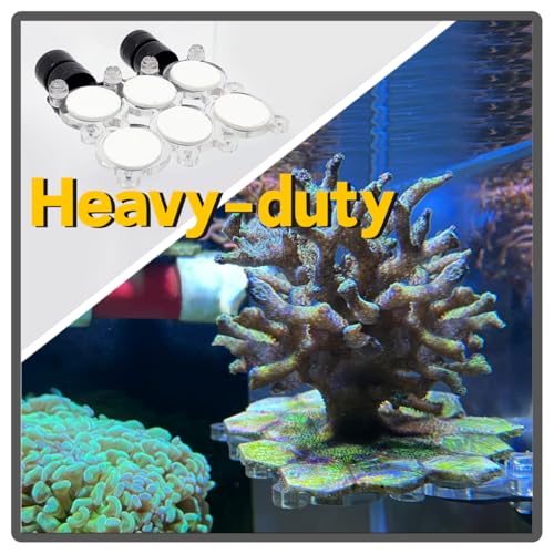 Coral Frag Rack for Aquarium, N52 Strong Magnetic Holder with 12 Frag Plugs, Polycarbonate Not Acrylic Never Yellow, Stackable Non-Slip Base, Fits up to 0.6" Glass, Reef Magnets Rack