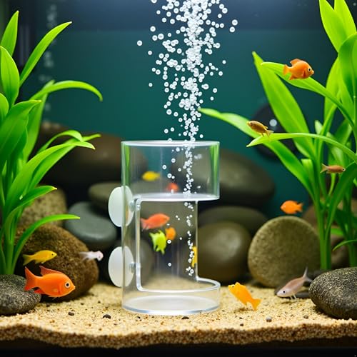 Clear Betta Fish Feeder - Fish Feeding Tube, Shrimp Feeding Dish, Betta Feeders with Suction Cup, Transparent Aquarium Feeders Bird Feeder, Fishs Tank Accessories