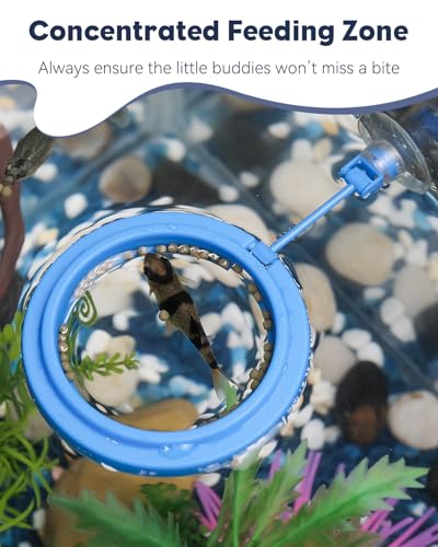 Pawfly Fish Feeding Ring for Aquarium, Feeding Ring with Suction Cup, Small Round Fish Feeder Ring Circle Floating Food Feeder for Betta Goldfish Guppy Turtle