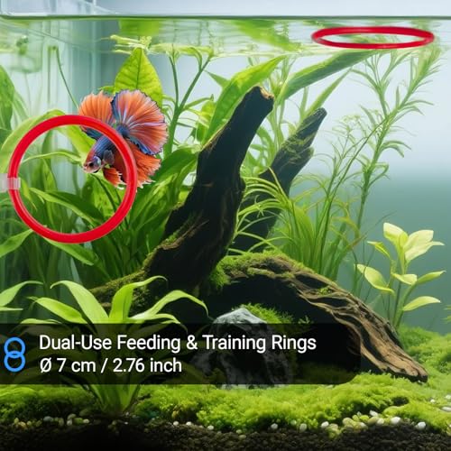 Betta Fish Toy Set: Betta Training Floating Mirror, Training/Feeding Ring, Spoon, and Resting Leaf. Promotes Exercise. Betta Toys, Resting & Feeding Kit(Red) - color: Red