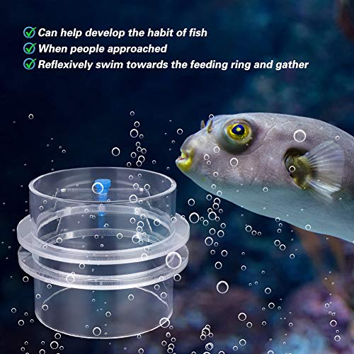 Transparent Acrylic Adjustable Fish Feeding Ring, Aquarium Fish Feeder for Freshwater and Saltwater Tanks, Durable Floating Feeding Circle with Rustproof Screws for Precise Food (100mm) - size: 100mm