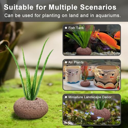 Stone Plant Weights for Aquarium Natural Rock Decorative 6 Pcs Fish Tank Landscape Plant Weights