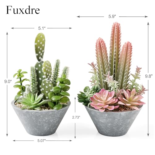 2-Pack Artificial Succulent Plants in Vintage Plastic Pots - Waterproof Fake Plants Decor for Home Office Desk - Low Maintenance Indoor Greenery for Bathroom, Shelf & Table - color: Succulent-b-2pcs