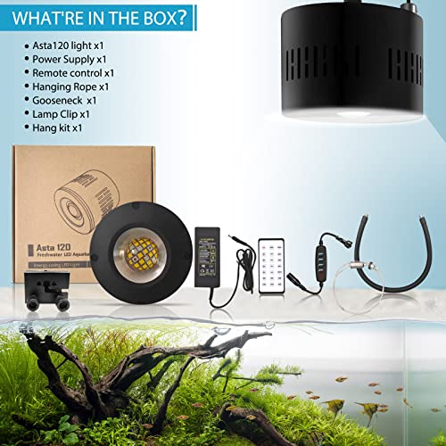 Lominie Aquarium LED Light 10 Gallon Fish Tank Light Timer Clip on Aquarium Lamp Full Spectrum 85W 6500k for Freshwater Refugium Cube Tank with Gooseneck - color: A120 Freshwater