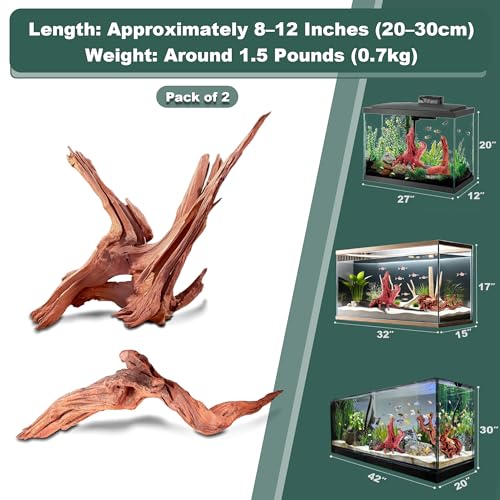 Natural Wood Driftwood for Aquarium Fish Tank Decor,Assorted Driftwood Trunk Branch for Reptile Tank Decor (MOP-ZYM Driftwood+Branch (8 to12 Inch)-Pack of 2) - color: MOP-ZYM Driftwood+Branch (8 to12 Inch)-Pack of 2