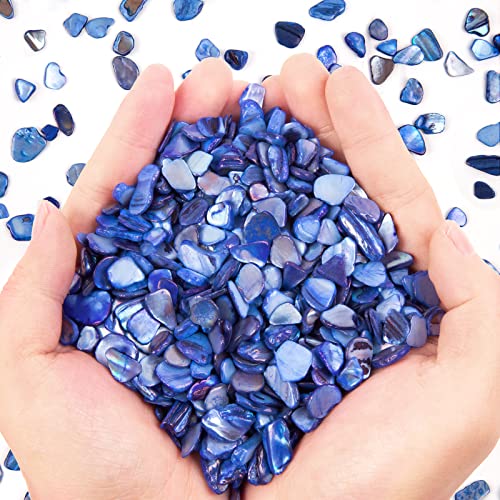 QICQDRAM Crushed Shells for Crafts About 1LB (405g/14.28oz) Small Natural Crushed Shells Bulk for Crafts DIY Beaching Wedding Decoration Vase Fillers (Deep Blue) - color: Deep Blue, size: 1LB (405g/14.28oz)