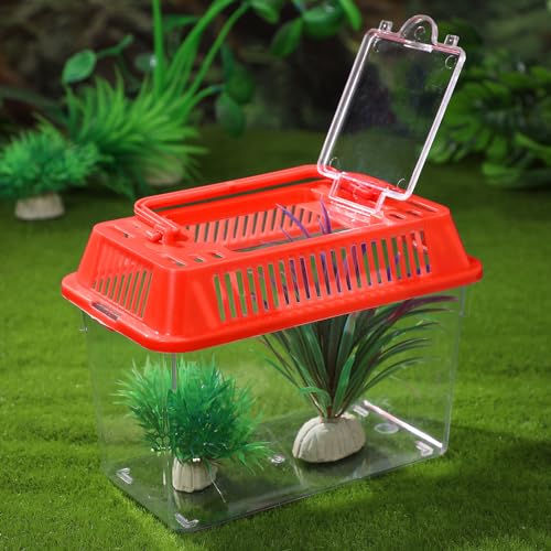 Baluue Portable Fish Tank, Handheld Fish Tank, Plastic Mini Box, Transparent Cutout Design, Plastic Aquarium with Handle for Turtle and Pet Lid for Random