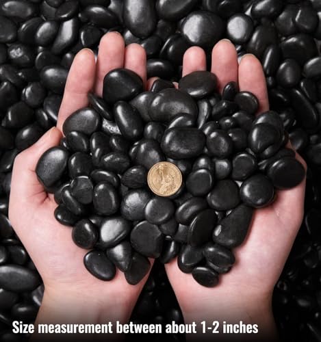NUPICK 10 Pound River Rocks, 1-2 Inches Polished Pebbles for Plants, Fish Tank, Clear Vase and More, Natural Black Stones - color: Black, size: 0.8-1.3"-10lb
