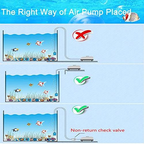 7 Feet Clear Airline Tubing Hose Standard ID 3/16" Aquarium Air Pump Accessories Grey Air Stone Cylinder Check Valves Suction Cup and Connectors for Nano Air Pumps Small Buckets and Fish Tank