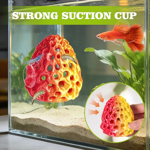 Shrimp Dome Hide, Shrimp Hides for Aquarium, Betta Fish Hideout with Suction Cup, Betta Habitat Tank Ornament Accessories, Aquarium Decor for Small Fish Guppy Hiding Resting (Gold Red) - color: Gold Red Gradient