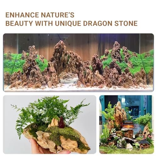 Dragon Rocks Aquarium Rock aquascaping Natural Stone Rocks Fish Tank Decor Rocks for Aquariums Landscaping Model Tank Decoration Aquarium Miniature -20lb (2-8 inch) - size: 20Lb (2-8 inch)
