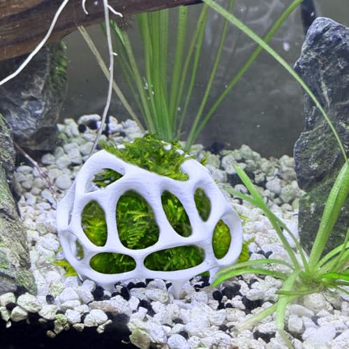 Moss Dome for Aquariums – Natural Shrimp Hide & Breeding Shelter, Aquascaping Accessory for Neocaridina & Caridina Shrimp, Shrimp Tank Decor & Safe Retreat for Small Fish