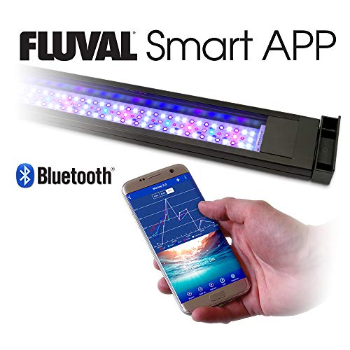 Fluval Flex 32.5 Marine Salt Water Aquarium Kit - Fish Tank for Fish, Coral & More - Comes with LED Lights, Filtration System & More - 32.5" x 15.75" x 15.35" - 123 L, 32.5 Gal. - Black