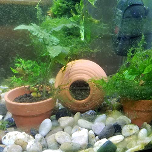 Saim Ceramic Jar Aquarium Decorations, Cute Little Cichlid Cave, Breeding Cones Cave Fish Tank Ornaments for Betta Fish Amano Shrimp Cichlid Bonsai to Play, Hide and Rest, Yellow