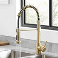 Kitchen Faucets with Pull Down Sprayer 304 Stainless Steel Industrial Single Handle One Hole Faucet for Farmhouse Camper Laundry Utility Rv Wet Bar Sinks Gold 9009K - color: C - Brushed Gold