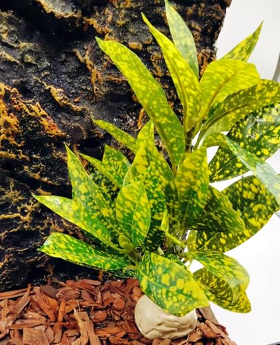 Reptile Plants Terrarium Artificial Leaves Reptile Tank Decorations for Bearded Dragon Lizard Snake Geckos Chameleon Amphibian Habitat Terrarium Decor - color: Golden