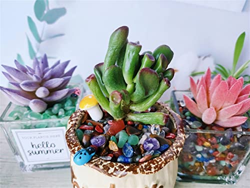 ZHIYUXI Chakra Crystal Vase Filler Crystal Chips Stone for Decoration Succulent Plants Vase Fish Tank Gravel Crushed Crystals Chips Gemstone Polished Healing Crystals Quartz Home Decor Gem Stones - color: B# Chakra, size: 0.22lbs