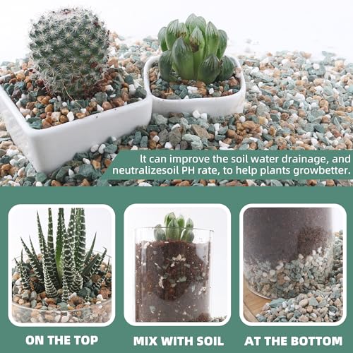 3lb Mix Rocks for Plants in Door -Mix Perlite,Maifanitum Stones,Zeolites Rocks for Bonsai Succulent Cactus Potting Soil and Vase Fillers, Fairy Gardening,Top Dressing - color: Mix Rocks, size: 3lb