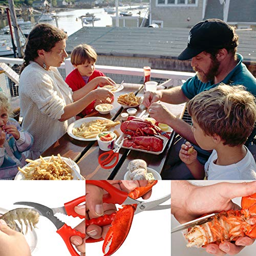 Calary 8Pcs Seafood Scissors Crab Scissors Seafood Shears Multifunctional Crab Leg Crackers and Tools - size: 8 pieces