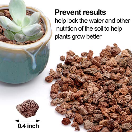 TOYPOPOR Red Lava Accent Rocks Outdoor Decorative Stones for Craft Projects, Vase Fillers, Succulents, Cactus Pots, Terrarium Plants 2.2LB - color: Horticultural Lava Rock, size: 2.2 lb