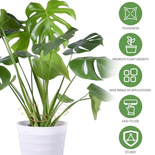 Spiritlele 5 Pcs Yellow Plant Stem Support Holder Set Monstera Plant Support Clamp Growth Accessories for Indoor Plants Big - color: Golden, size: 7.1x6.3inch