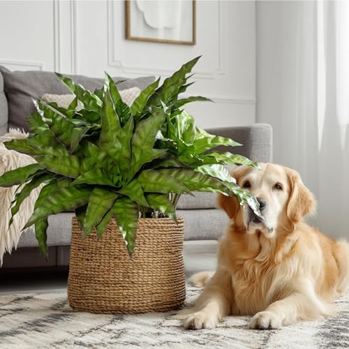 4 Pcs Artificial Greenery Stems Fake Bird Nest Fern Faux Branches Artificial Plants Realistic Fake Dracaena Realistic Plants for Indoor Outdoor Porch Patio Home Office Living Room Decor (Brown Green) - color: Brown Green