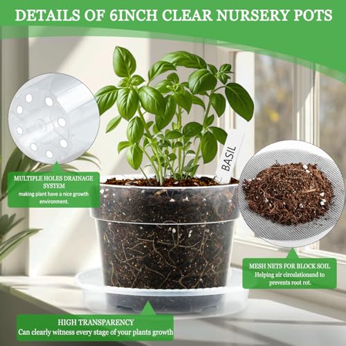 BTPLASTIK 6 Inch Clear Nursery Pots with Humidity Domes 15 Pack, Transparent Plastic Plant Pot with Drainage Holes and Saucers, Seed Starter Pots with 15 Pcs Plant Labels and 15 Pcs Soil Screens - size: 6Inch-15P-with Humidity Domes