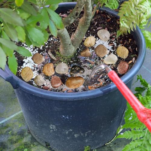 HappyFiller Decorative Natural Pebbles Polished Rocks Stones Mixed Color for Aquarium Gravel,Fish Turtle Tank,Outdoor Indoor Plants Top Dressing,Garden Landscaping,Home Vase Filler Decoration,2 LB - color: Mixed