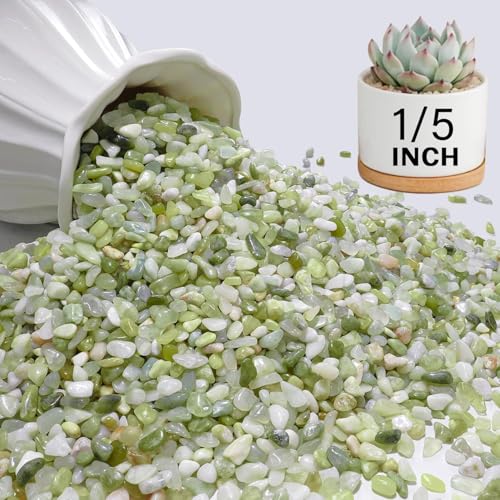NUPICK 3 lbs Pebbles for Indoor Plants, 1/5 Inch Pea Gravel for Fish Tank, Polished Decorative Rocks for Succulent, Natural River Stones for Vases, Cactus, Landscaping, Bird Bath, Aquarium, Jade - color: Jade, size: 3 lb