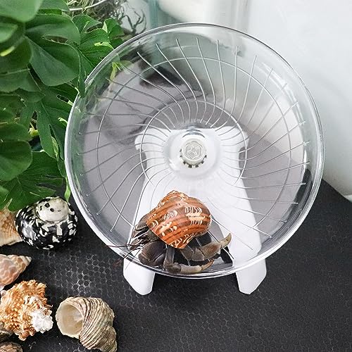 Hermit Crabs Wheel Toy, Hamster Running Wheel Toys, Small Animals Cage Accessory, Tank Accessory, Suitable for Hermit Crab Hamster Rat - color: White, size: Large